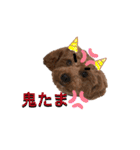 たまときどきそらスタンプ（個別スタンプ：3）