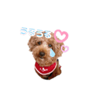 たまときどきそらスタンプ（個別スタンプ：10）