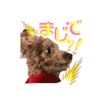 たまときどきそらスタンプ（個別スタンプ：14）