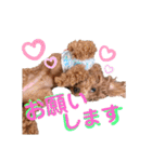 たまときどきそらスタンプ（個別スタンプ：17）