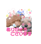 たまときどきそらスタンプ（個別スタンプ：28）