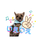 たまときどきそらスタンプ（個別スタンプ：39）