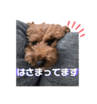 たまときどきそらスタンプ（個別スタンプ：40）