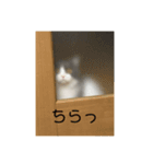 むぎ♡2（個別スタンプ：3）
