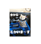 ミヌエット☆ぷりんくん（個別スタンプ：28）