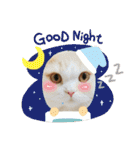 ミヌエット☆ぷりんくん（個別スタンプ：30）