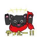 【キミハダレ】黒猫ちゃんスタンプ（個別スタンプ：20）