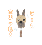 ドリンク犬たちの使いやすいスタンプ（個別スタンプ：20）