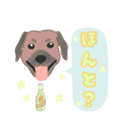 ドリンク犬たちの使いやすいスタンプ（個別スタンプ：34）