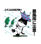 天気予報ねこ☀︎みねこ, vol.1（個別スタンプ：5）