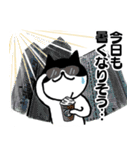 天気予報ねこ☀︎みねこ, vol.1（個別スタンプ：6）