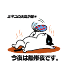 天気予報ねこ☀︎みねこ, vol.1（個別スタンプ：8）