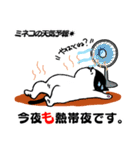 天気予報ねこ☀︎みねこ, vol.1（個別スタンプ：9）