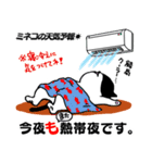 天気予報ねこ☀︎みねこ, vol.1（個別スタンプ：10）