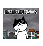天気予報ねこ☀︎みねこ, vol.1（個別スタンプ：11）