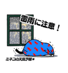 天気予報ねこ☀︎みねこ, vol.1（個別スタンプ：12）