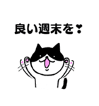 天気予報ねこ☀︎みねこ, vol.1（個別スタンプ：38）