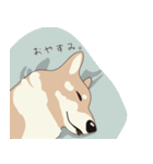 柴犬ラバーズ（個別スタンプ：4）