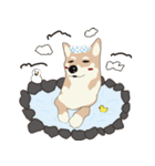 柴犬ラバーズ（個別スタンプ：8）