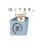 柴犬ラバーズ（個別スタンプ：10）