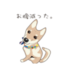 柴犬ラバーズ（個別スタンプ：15）