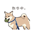 柴犬ラバーズ（個別スタンプ：16）