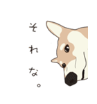 柴犬ラバーズ（個別スタンプ：19）