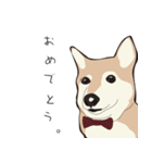 柴犬ラバーズ（個別スタンプ：28）