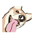 柴犬ラバーズ（個別スタンプ：31）
