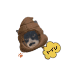 猫のsora（個別スタンプ：36）