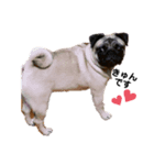MoNe♡♡（個別スタンプ：2）