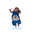 nano-chaaan（個別スタンプ：1）