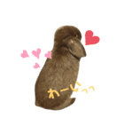 もふもふ、うさうさ。（個別スタンプ：4）