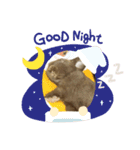 もふもふ、うさうさ。（個別スタンプ：11）
