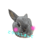 もふもふ、うさうさ。（個別スタンプ：16）