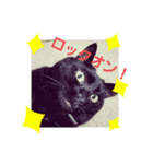 ねこねこね2（個別スタンプ：4）