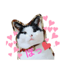 ねこねこね2（個別スタンプ：7）