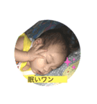 babY0104（個別スタンプ：8）