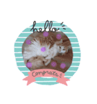 みんゆず（個別スタンプ：3）