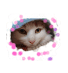 みんゆず（個別スタンプ：4）