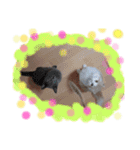 みんゆず（個別スタンプ：5）