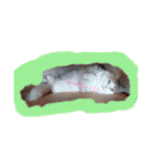 みんゆず（個別スタンプ：18）