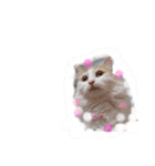 みんゆず（個別スタンプ：23）