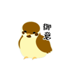 お侍さんと小鳥（個別スタンプ：1）