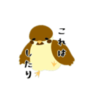 お侍さんと小鳥（個別スタンプ：4）