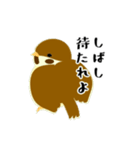 お侍さんと小鳥（個別スタンプ：7）