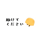 お侍さんと小鳥（個別スタンプ：13）