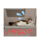 平和なりんりん3（個別スタンプ：2）