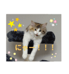 平和なりんりん3（個別スタンプ：11）