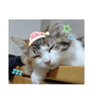 平和なりんりん3（個別スタンプ：12）
